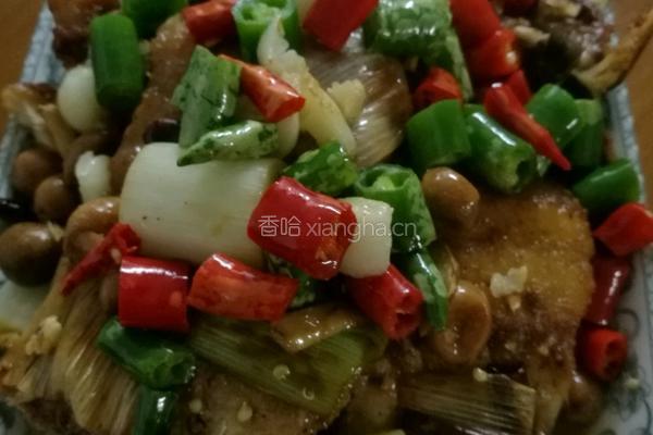 山黄皮焖啤酒鱼的做法图解18