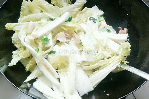 猪肉白菜炖粉条的做法图解5