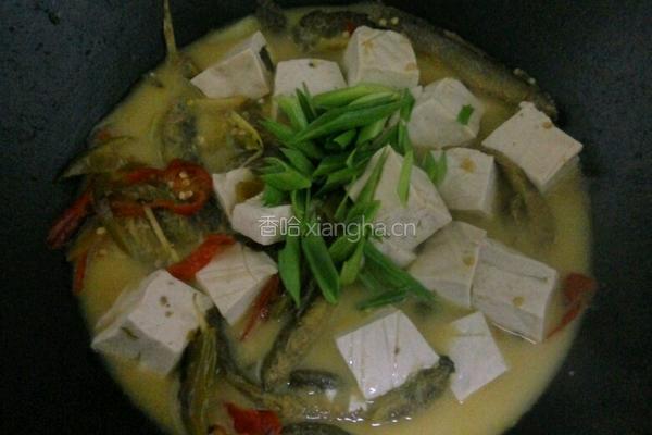 泥鳅豆腐的做法图解5