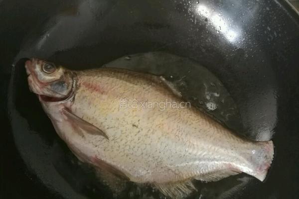糖醋鳊鱼的做法图解2