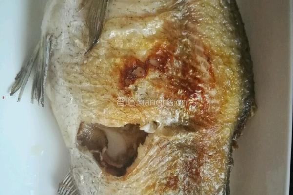 糖醋鳊鱼的做法图解4