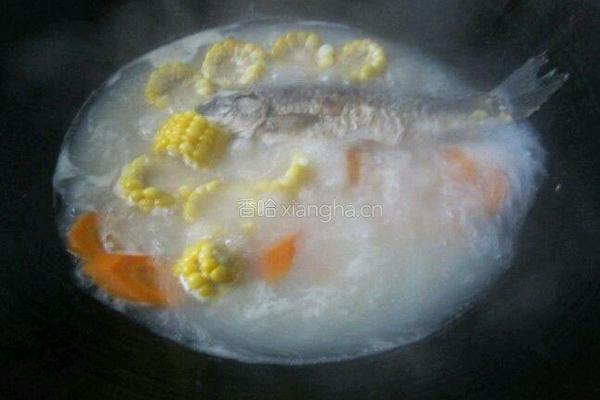 胡萝卜玉米鲫鱼汤的做法图解15