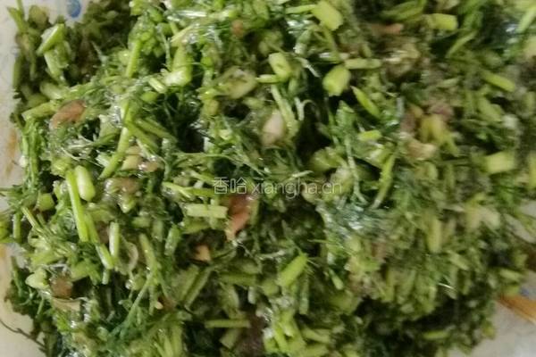 猪肉茴香水饺的做法图解4