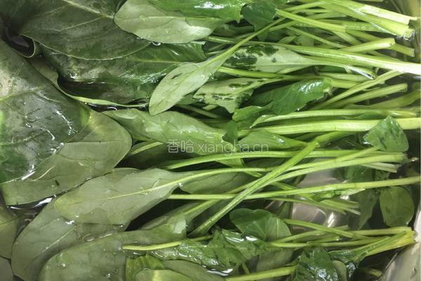 菠菜汁（豆浆机版）的做法图解1