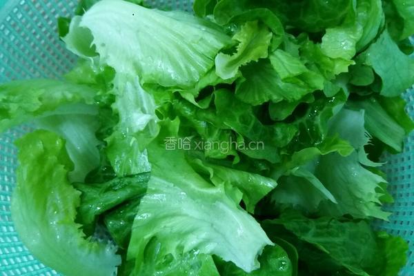 家常水煮肉片的做法图解10