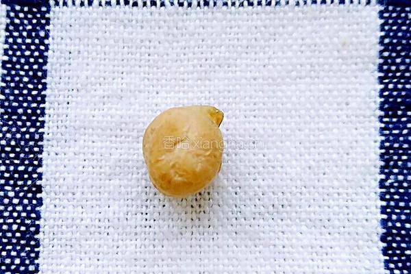 鹰嘴豆的制作及配餐的做法图解1