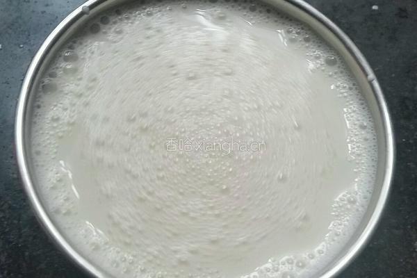酸奶的做法图解4