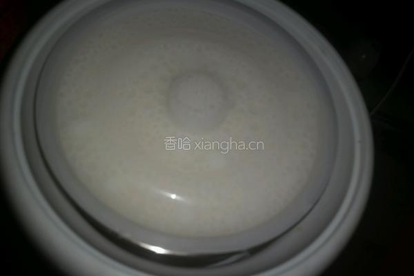 酸奶的做法图解8