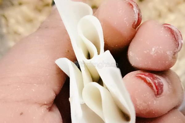 自制混沌的做法图解6