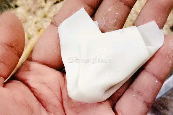 自制混沌的做法图解7