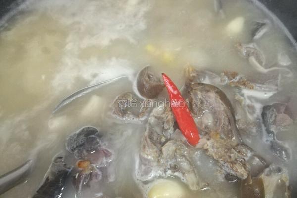 水鱼炖羊肉的做法图解11