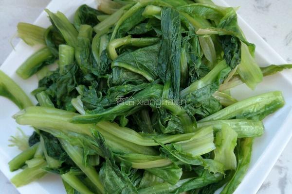 蒜蓉油麦菜的做法图解5
