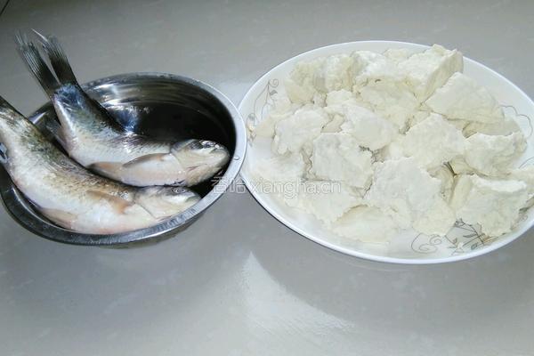 豆花鲫鱼汤的做法图解1