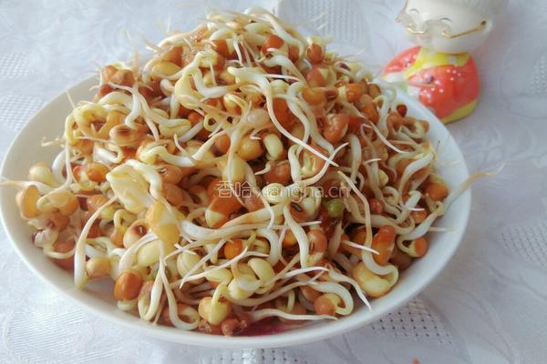 发豇豆芽的做法图解7