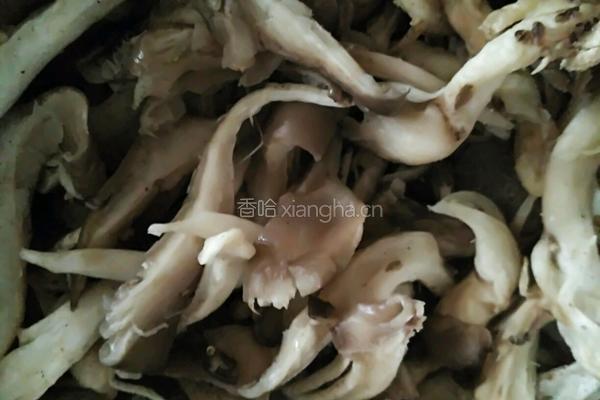 蘑菇鱼的做法图解4