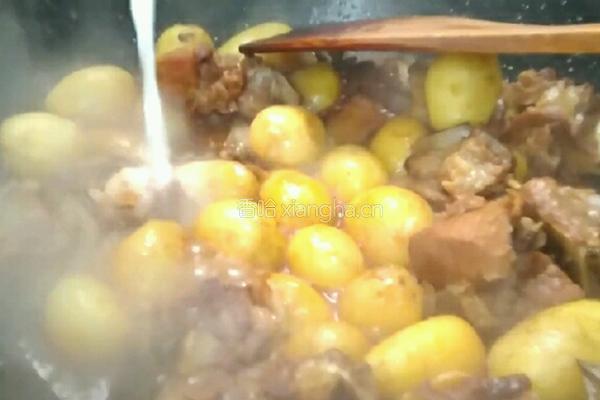 排骨炖小土豆的做法图解19