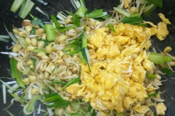 豆芽蒜苗炒鸡蛋的做法图解6