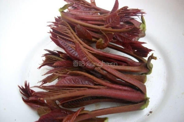香椿炒鸭蛋的做法图解1