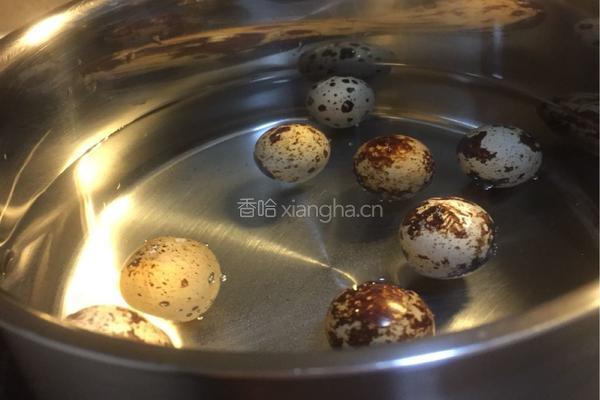 竹荪青瓜汤的做法图解4