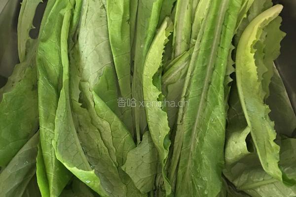 豆豉鲮鱼油麦菜的做法图解1