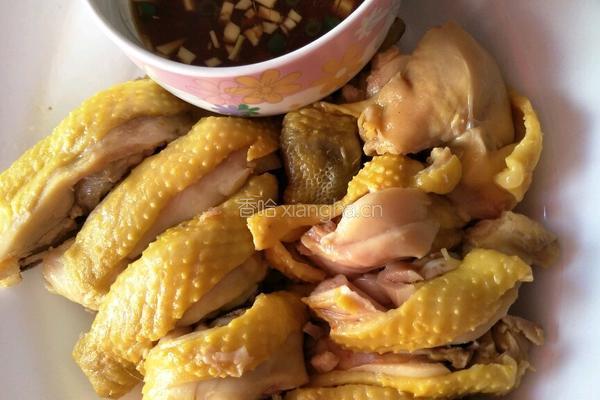 白斩鸡的做法图解6