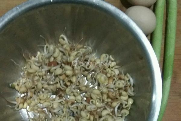 豆芽烧的做法图解1