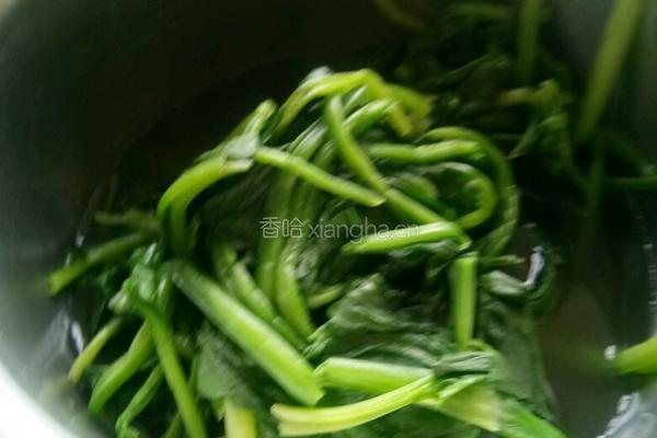 菠菜火腿肠的做法图解2