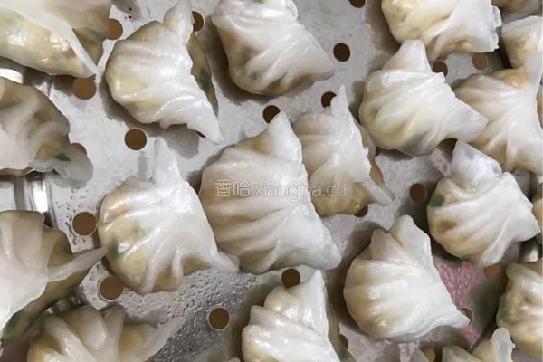 水晶饺子的做法图解10