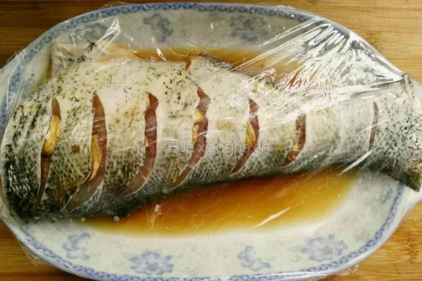 清蒸大头鲢鱼断的做法图解4