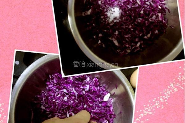 五彩蔬菜饼的做法图解3