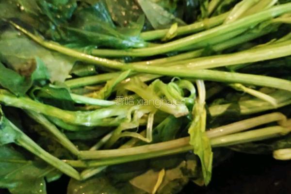 焖菠菜的做法图解6
