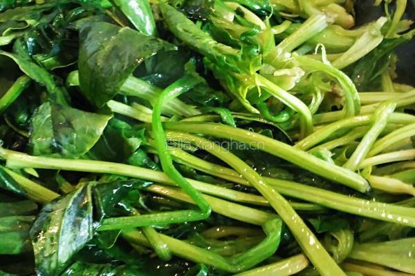 焖菠菜的做法图解7