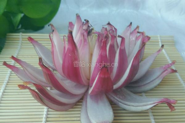 莲花的做法图解12