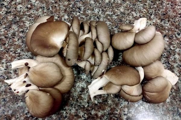 素炒蘑菇的做法图解1