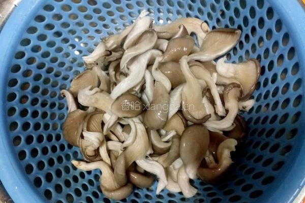 素炒蘑菇的做法图解3