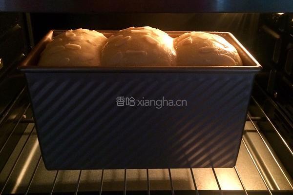 椰浆吐司的做法图解12