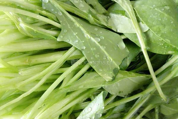 凉拌菠菜豆芽的做法图解2