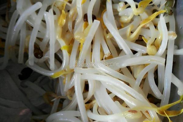 凉拌菠菜豆芽的做法图解3