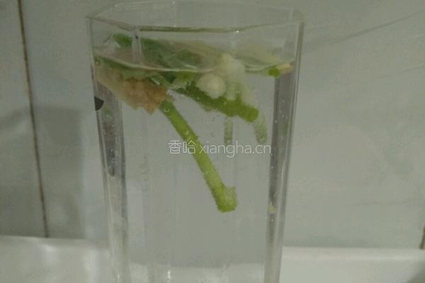 可包饺子与馄饨的肉馅的做法图解1