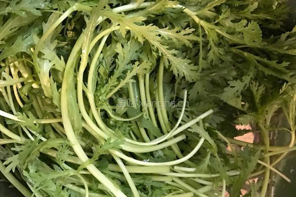 潮汕牛肉丸新吃法的做法图解1