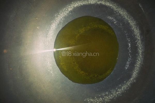 早餐皮蛋粥＋煎包子的做法图解4