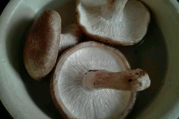 红烧香菇肉的做法图解4