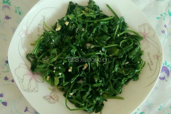 拌香芹叶的做法图解9