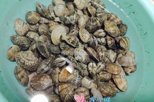 香辣花蛤的做法图解2