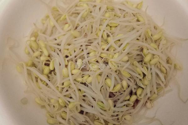 香辣水煮肉片的做法图解4