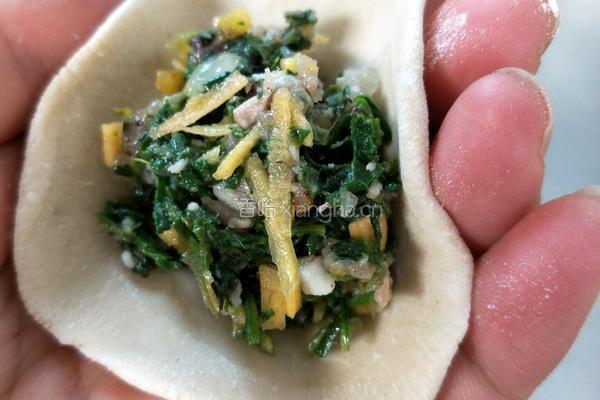荠菜胡萝卜肉水饺的做法图解11