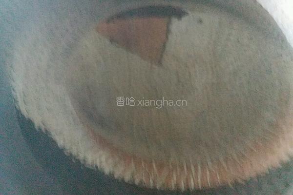 咸蛋黄煲豆腐的做法图解2