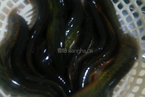 干煸泥鳅的做法图解1