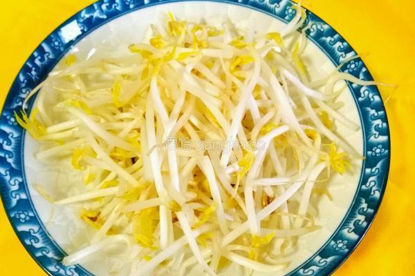 辣炒豆芽的做法图解1
