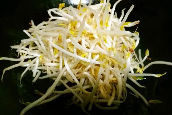 辣炒豆芽的做法图解4